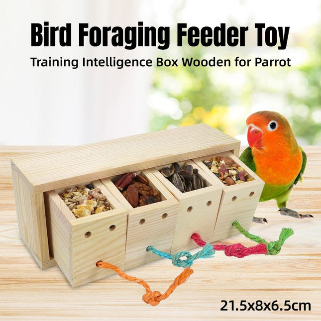 Parrot Foraging Toy Puzzle Training Chewing Toy Pine Wood Sturdy Non Toxic