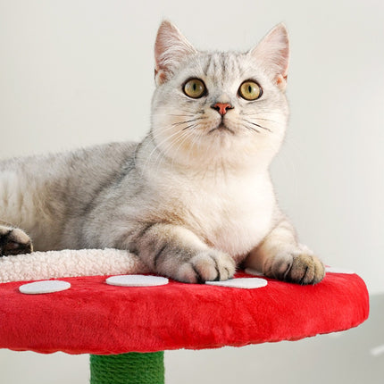 Cat Tree Cat Condo Scratching Post 3 in 1 Sturdy for Cats Rest Play Scratching