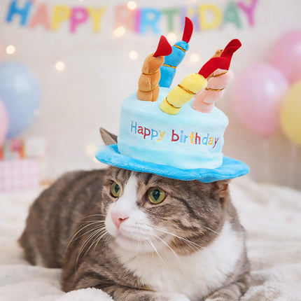 Pet Birthday Party Hat Plush Cake Design with Candles Blue or Pink for Dog Cat