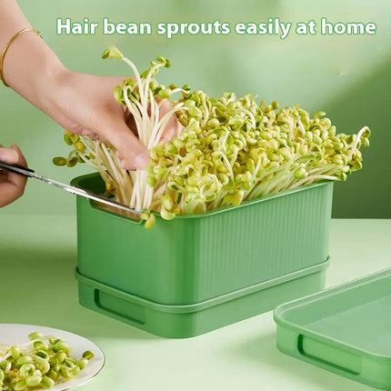 Seedling Tray Sprout Tray Soilless Hydroponic Planting Pot for Indoor Gardening