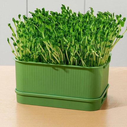 Seedling Tray Sprout Tray Soilless Hydroponic Planting Pot for Indoor Gardening