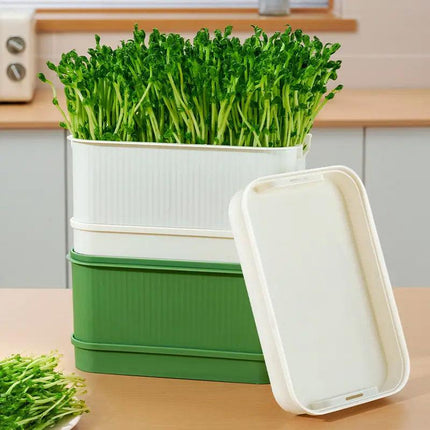 Seedling Tray Sprout Tray Soilless Hydroponic Planting Pot for Indoor Gardening