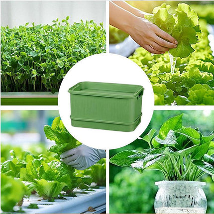 Seedling Tray Sprout Tray Soilless Hydroponic Planting Pot for Indoor Gardening