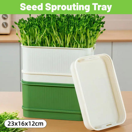 Seedling Tray Sprout Tray Soilless Hydroponic Planting Pot for Indoor Gardening