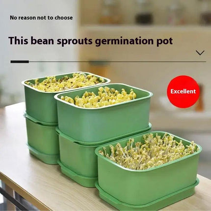 Seedling Tray Sprout Tray Soilless Hydroponic Planting Pot for Indoor Gardening