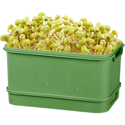 Seedling Tray Sprout Tray Soilless Hydroponic Planting Pot for Indoor Gardening