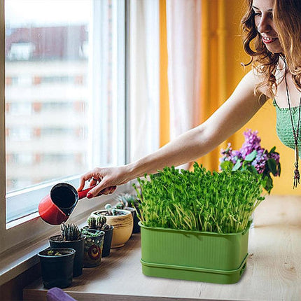 Seedling Tray Sprout Tray Soilless Hydroponic Planting Pot for Indoor Gardening