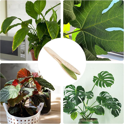 Portable Handheld Leaf Cleaning Brush for Potted Plants and Garden Care Tool