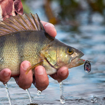 Lure Bait Composite Rotating Spoon 3.5-8g Feather Hook Metal Artificial Lure