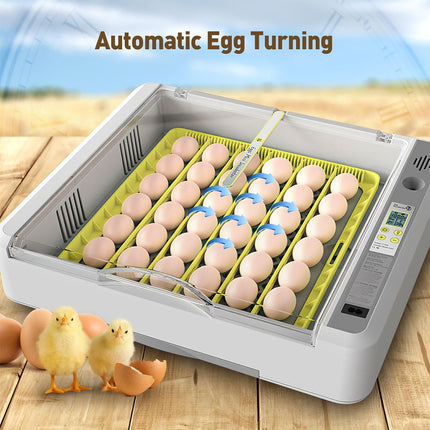 Egg Incubator Auto Temperature Control 36 Eggs Large Capacity Breeding Machine
