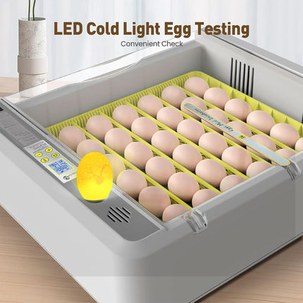 Egg Incubator Auto Temperature Control 36 Eggs Large Capacity Breeding Machine