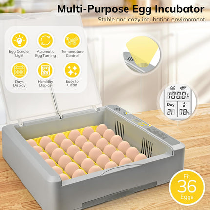 Egg Incubator Auto Temperature Control 36 Eggs Large Capacity Breeding Machine