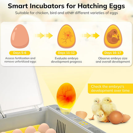 Egg Incubator Auto Temperature Control 36 Eggs Large Capacity Breeding Machine