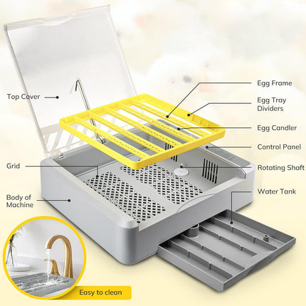 Egg Incubator Auto Temperature Control 36 Eggs Large Capacity Breeding Machine