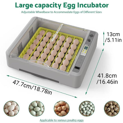 Egg Incubator Auto Temperature Control 36 Eggs Large Capacity Breeding Machine
