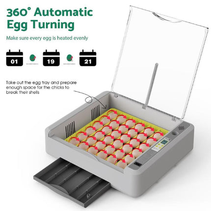 Egg Incubator Auto Temperature Control 36 Eggs Large Capacity Breeding Machine