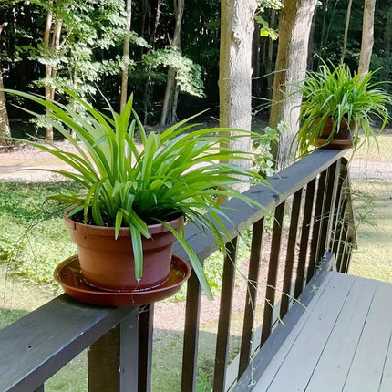 6pcs Plastic Flower Pot Tray Round Base Catcher Gardening Pots Drip Tray