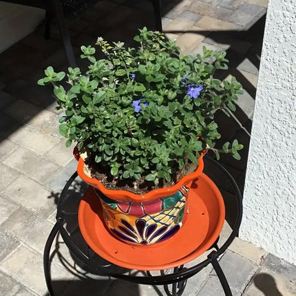 6pcs Plastic Flower Pot Tray Round Base Catcher Gardening Pots Drip Tray