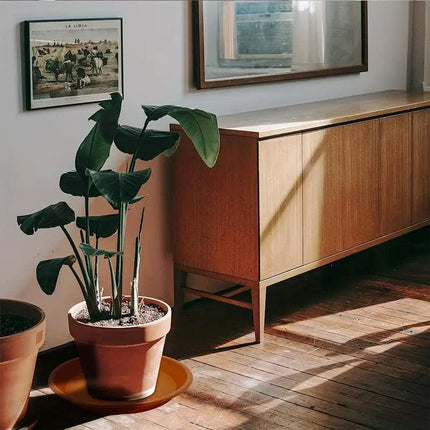 6pcs Plastic Flower Pot Tray Round Base Catcher Gardening Pots Drip Tray