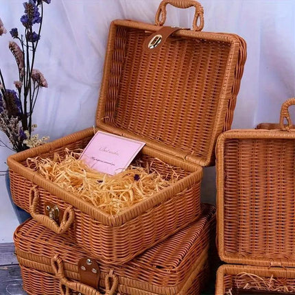 Rattan Organizer Woven Suitcase Storage Boxes for Home Office Organization