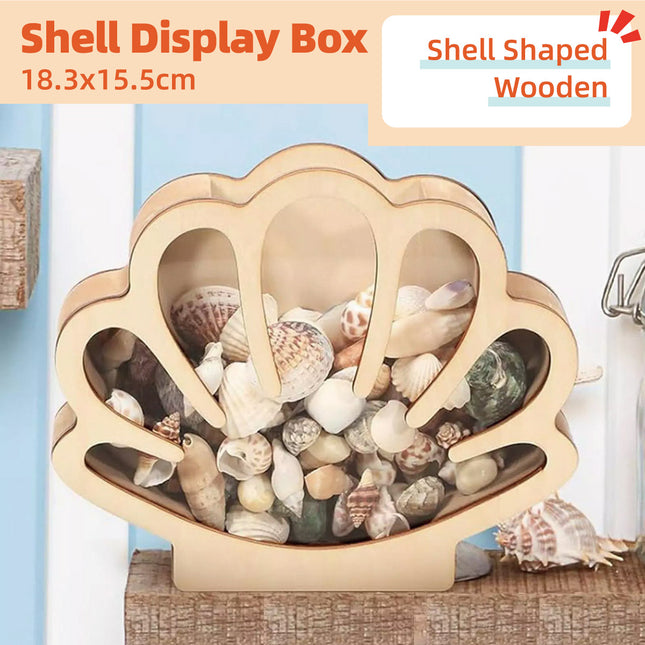 Shell Storage Container Coin Box Wooden Money Box Wooden Shell Display Box