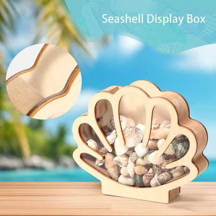 Shell Storage Container Coin Box Wooden Money Box Wooden Shell Display Box