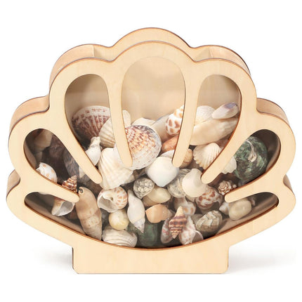 Shell Storage Container Coin Box Wooden Money Box Wooden Shell Display Box