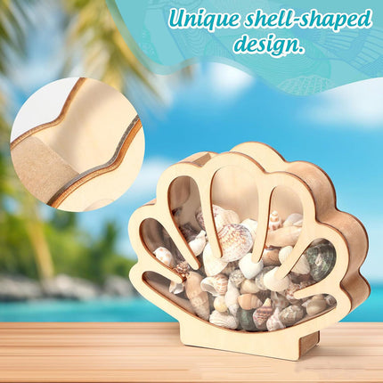 Shell Storage Container Coin Box Wooden Money Box Wooden Shell Display Box