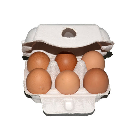 200PCS Paper Egg Tray 6 Slot Molded Pulp Leak-Proof for Egg Packaging Use