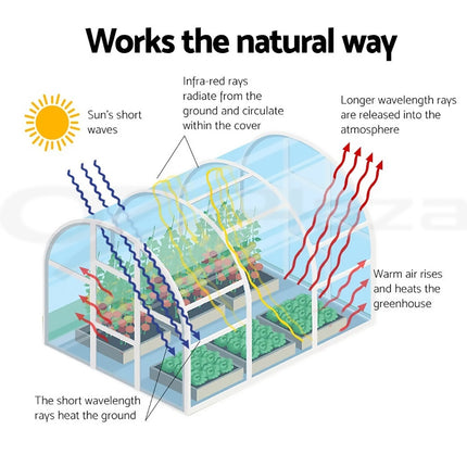 Heavy Duty Walk In Greenhouse Tent Garden Plants Winter Frost Protection Cover