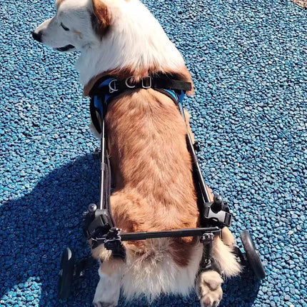 Pet Wheelchair Mobility Cart for Elderly Disabled Dog Walking Assistance Fixed