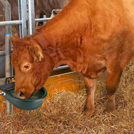 Livestock Water Bowl Cattle Waterer Sheep Horse Drinking Bowl Automatic Feeder
