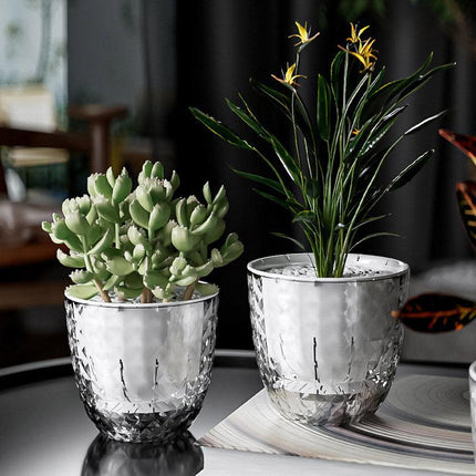 2pcs Transparent Self Watering Flowerpot Automatic Absorbent Planter Storage