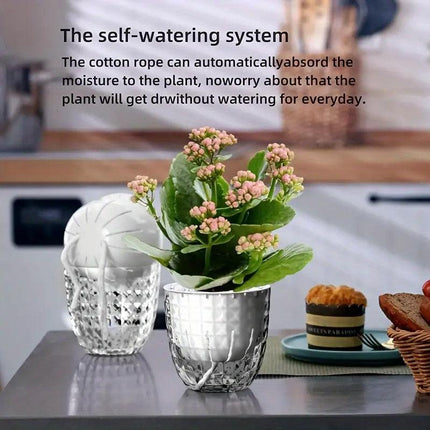 2pcs Transparent Self Watering Flowerpot Automatic Absorbent Planter Storage