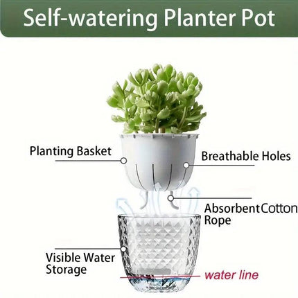 2pcs Transparent Self Watering Flowerpot Automatic Absorbent Planter Storage