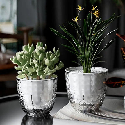 2pcs Transparent Self Watering Flowerpot Automatic Absorbent Planter Storage