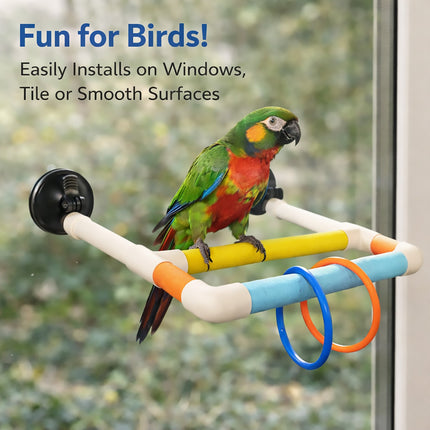 Colourful Parrot Perch Bird Stand Suction Cup or Hook for Small Birds Cage