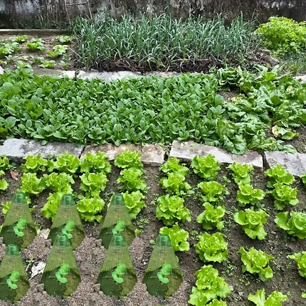 26PCS Plant Protection Cloche Seedling Cover Reusable Clear Plastic Anti Pest