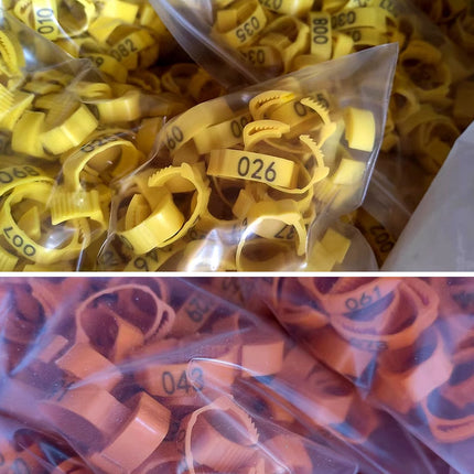 Chicken Duck Goose Leg Rings 100pcs Numbered Ankle Bands Bird ID Tags Farm Use