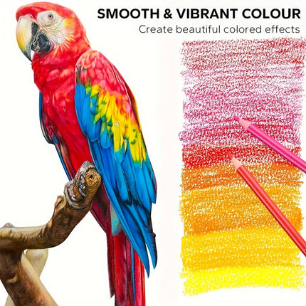 48 or 200 Colours Oil-Based Coloured Pencils Set with Case Non-Toxic