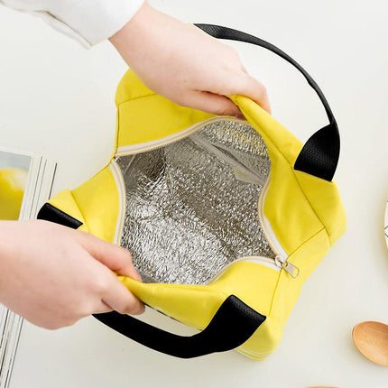 Portable Insulated Thermal Lunch Box Carry Tote Picnic Case Storage Bag 21x17x15cm