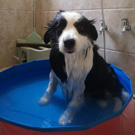 Pet Swimming Pool Foldable Portable Pool for Dogs Outdoor Summer Play