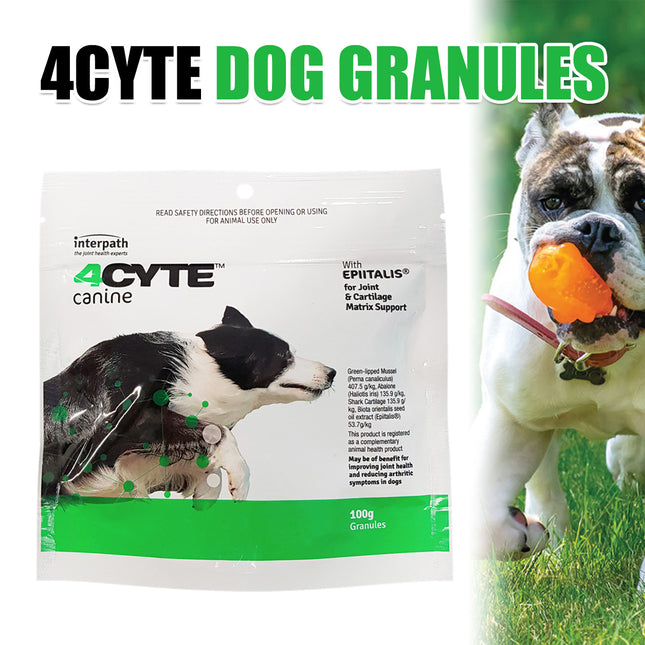 4CYTE DOG GRANULES 100G