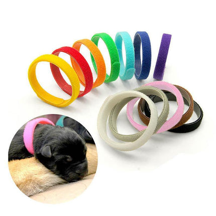 12 Colours Collar Bands Pet Puppy Kitten Identification Collar Tags - Aimall