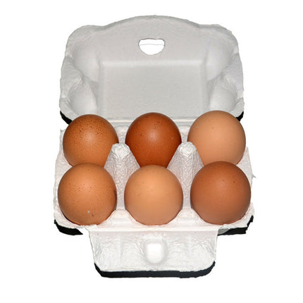 200PCS Paper Egg Tray 6 Slot Molded Pulp Leak-Proof for Egg Packaging Use