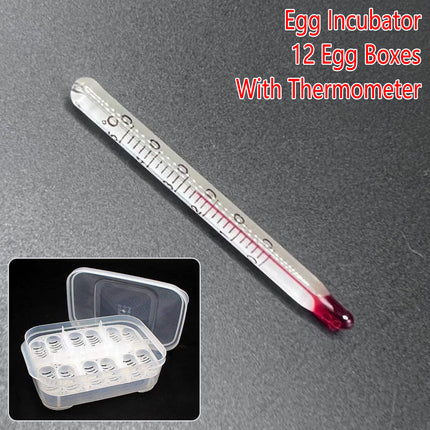 Lizard Hatching Box 12 Holes Reptile Egg Incubator Clear Container for Breeding