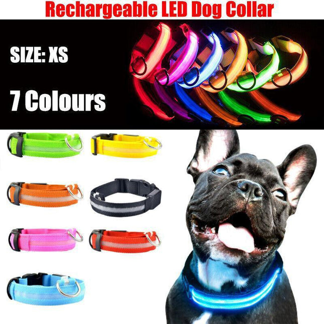 XS Size USB Rechargeable LED Dog Collar Nylon Glow Flashing Light Up