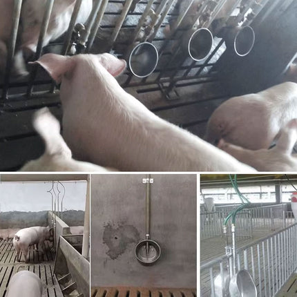 Pig Drinking Bowl Stainless Steel Automatic Water Dispenser Feeder Piglet Farm