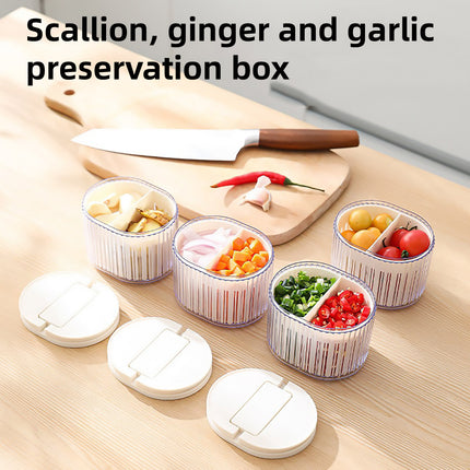 Storage Box 2PCS with Lids Sealed Organizer Kitchen Refrigerator Household Use