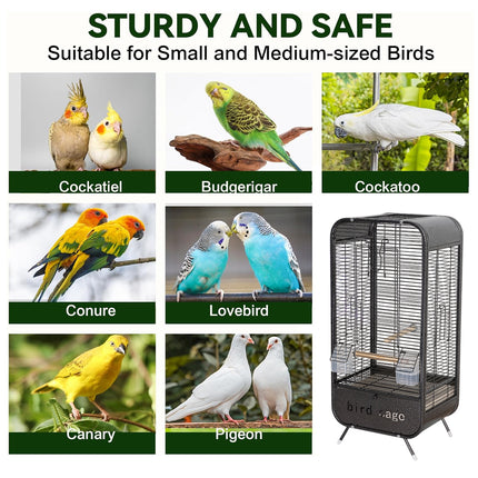 Metal Parrot Bird Cage Durable Spacious with Feeder for Parrots Birds Viewing